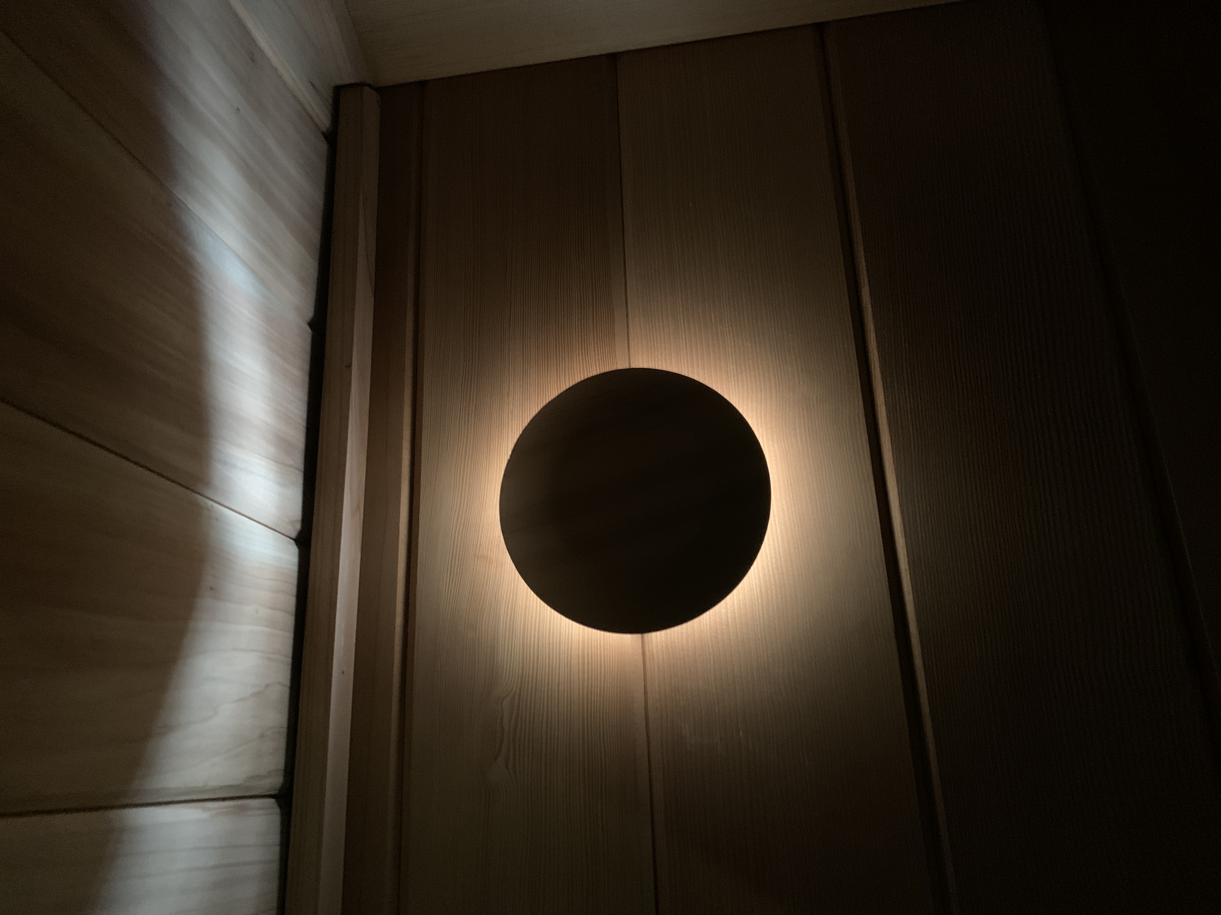 Moonlight Sauna Session